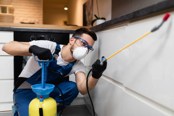 Best Pest Prevention Services  in Windy Hills, KY