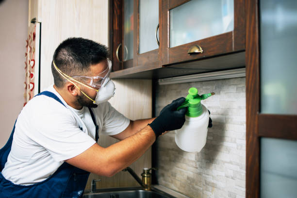 Best Mosquito Control Services  in Windy Hills, KY