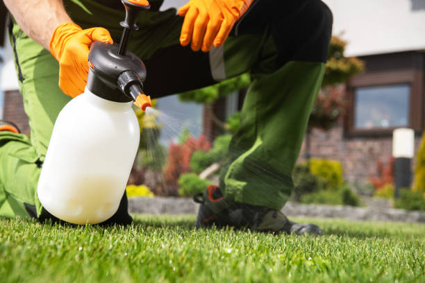 Best Local Pest Control Services  in Windy Hills, KY