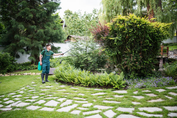 Best Cockroach Control Services  in Windy Hills, KY