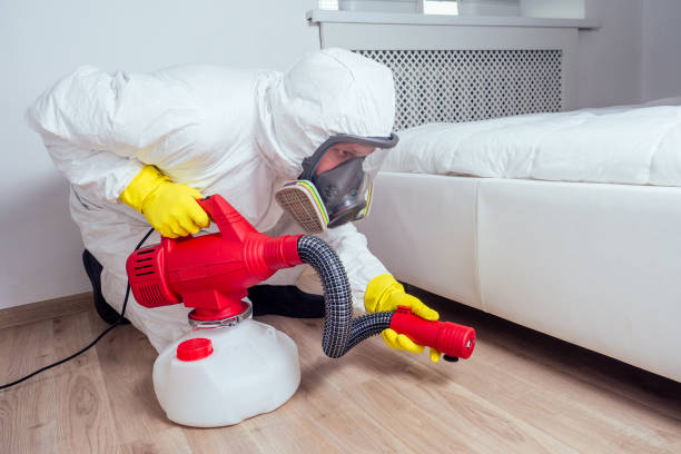 Best Affordable Pest Control Services  in Windy Hills, KY