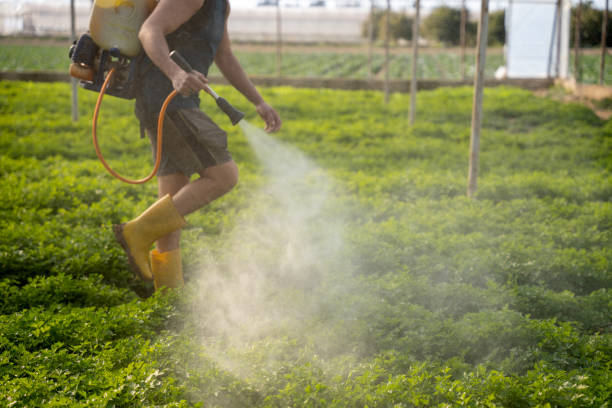 Best Best Pest Control Companies  in Windy Hills, KY