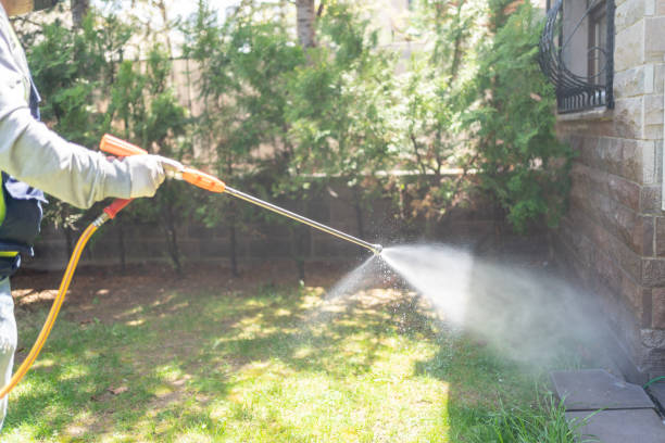 Best Pest Removal Services  in Windy Hills, KY