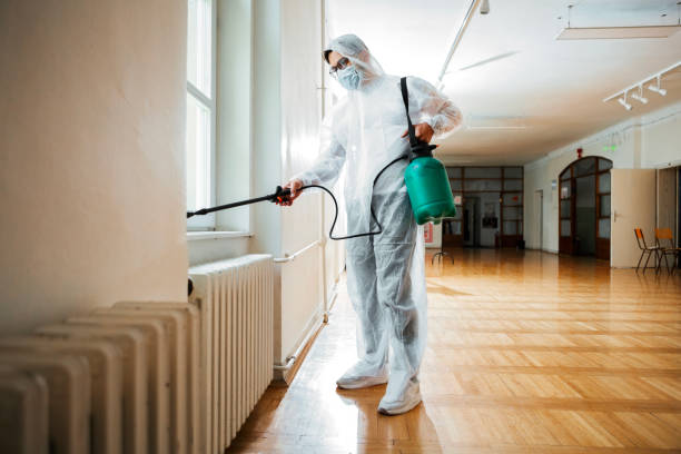 Professional Pest Control in Windy Hills, KY
