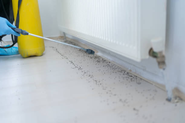 Best Commercial Pest Control Services  in Windy Hills, KY
