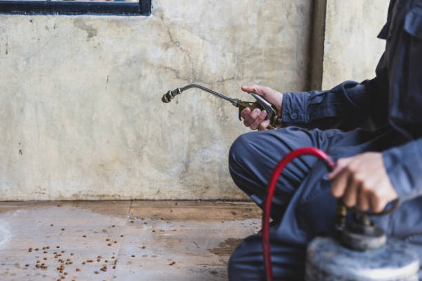 Best Mosquito Control Services  in Windy Hills, KY